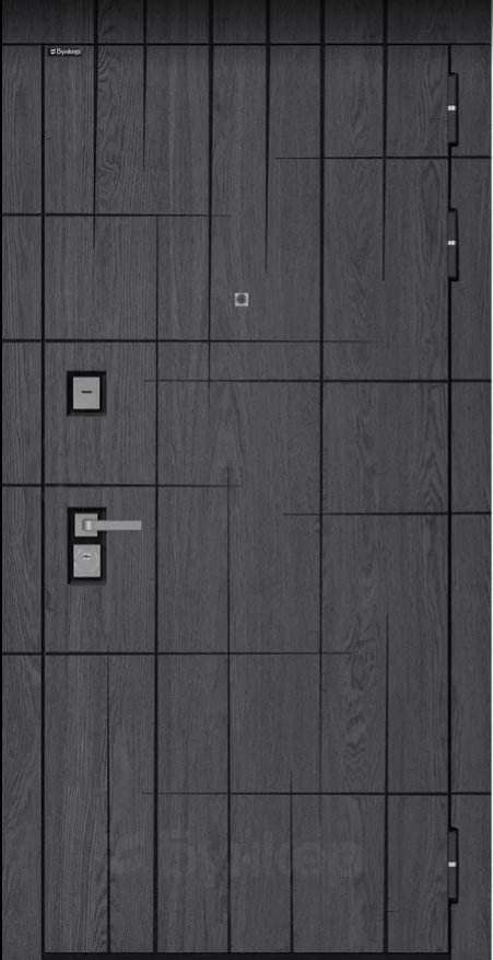 Товар Дверь BN-09 DIS006820